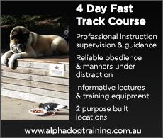 Read more about our 4 Day Fast Track Course Read more about our 4 Day Fast Track Course