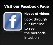 The Alpha Canine Group Facebook Page The Alpha Canine Group Facebook Page