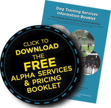 Download our FREE information booklet on all of Alpha's services Download our FREE information booklet on all of Alpha's services
