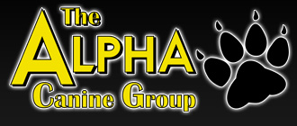 The Alpha Canine Group The Alpha Canine Group